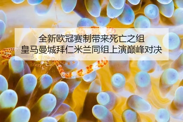 quan-xin-ou-guan-sai-zhi-dai-lai-si-wang-zhi-zu-huang-ma-man-cheng-bai-ren-mi-lan-tong-zu-shang-yan-dian-feng-dui-jue-3-668.jpg