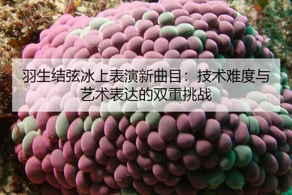 yu-sheng-jie-xian-bing-shang-biao-yan-xin-qu-mu-ji-shu-nan-du-yu-yi-shu-biao-da-de-shuang-chong-tiao-zhan-3-260.jpg