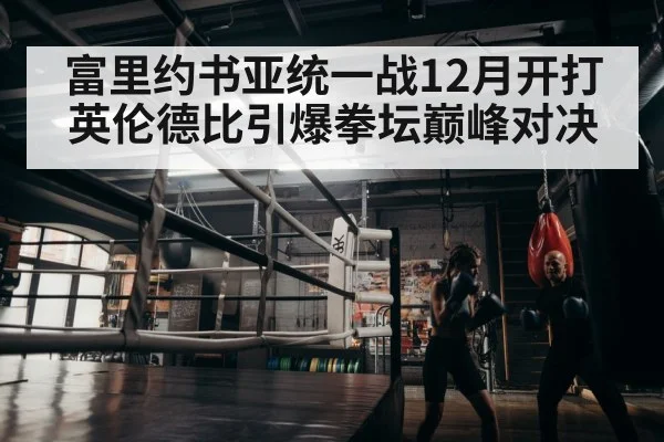 boxer training