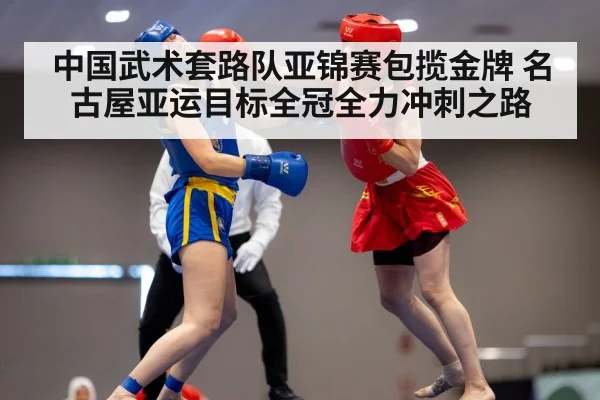 中国武术套路队亚锦赛包揽金牌 名古屋亚运目标全冠全力冲刺之路